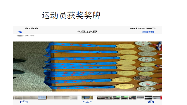 2019年8月，在湖南省中学生田径锦标赛上，我校运动员代表衡阳市夺得三块单项金牌，一块接力金牌，三块银牌。