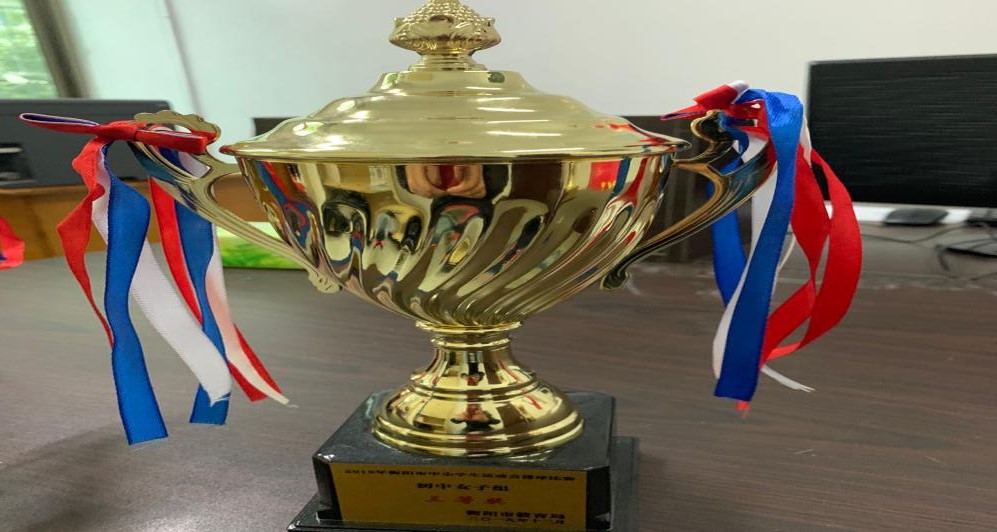 2019年12月，在衡阳市中学生排球比赛中获得初中男子三等奖。
